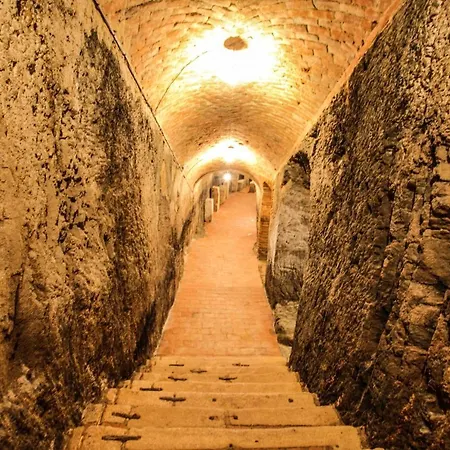 Отель Mariel Зноймо